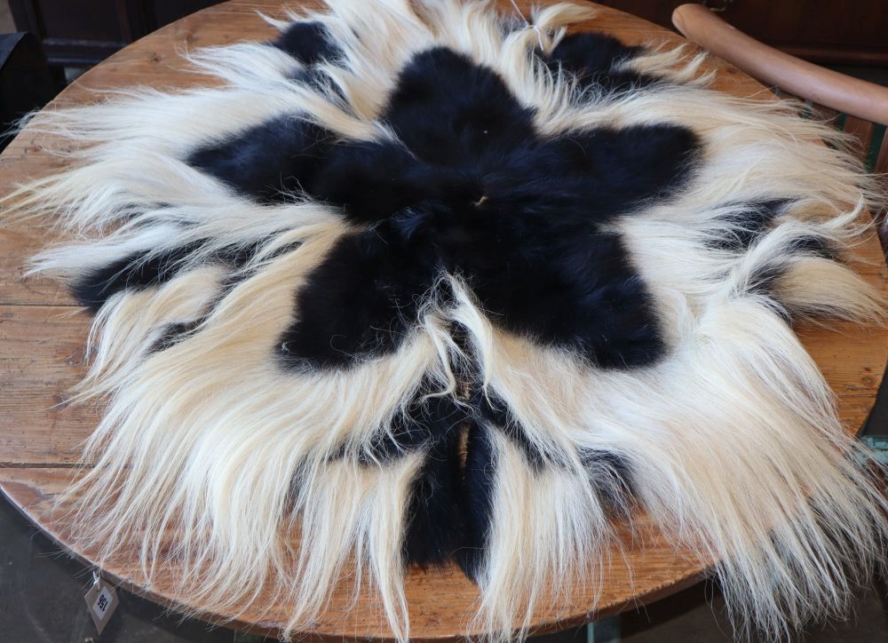 A Colobus monkey pelt, 86cm diameter